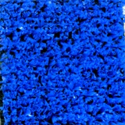 Gazon-SPRING-bleu-3190177B